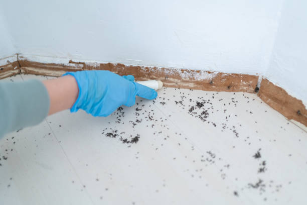 Best Pest Removal Services  in Macon, MS