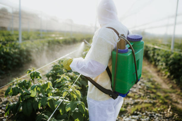 Best Pest Inspection Near Me  in Macon, MS